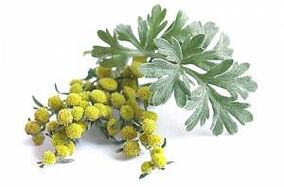 екстракт от пелин в NEOflorax