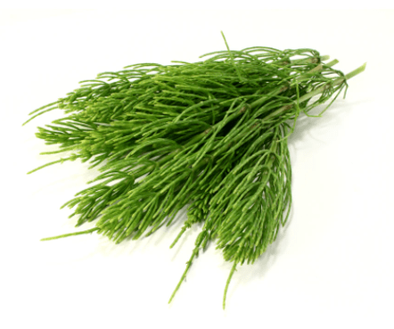 екстракт от хвощ в NEOflorax